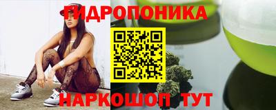 ГАЛЛЮЦИНОГЕННЫЕ ГРИБЫ Кандалакша
