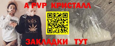 спиды Камышлов